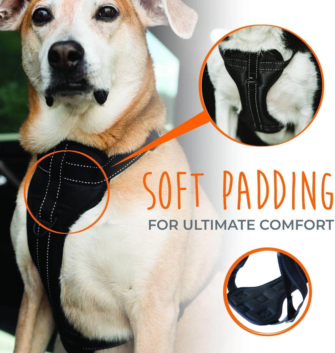 Adjustable Safety Harness