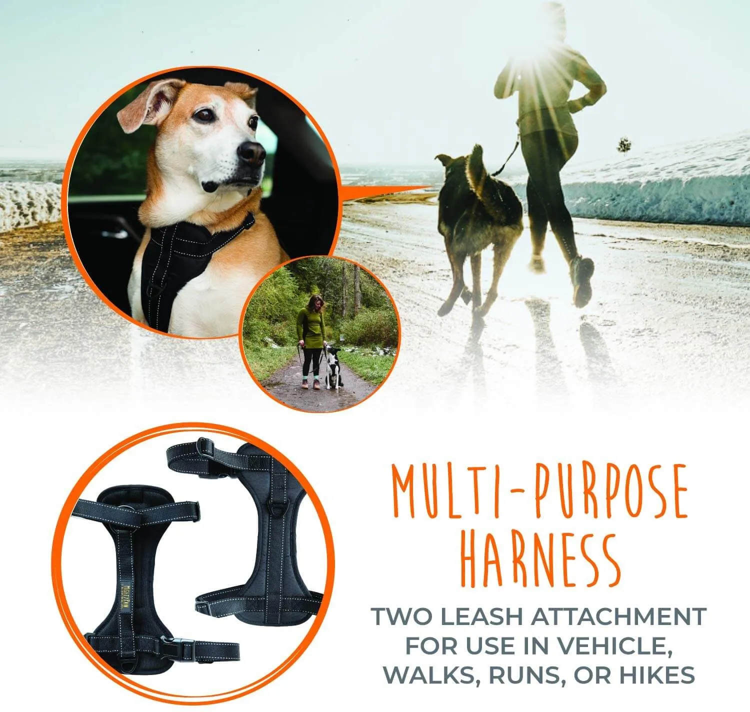 Adjustable Safety Harness