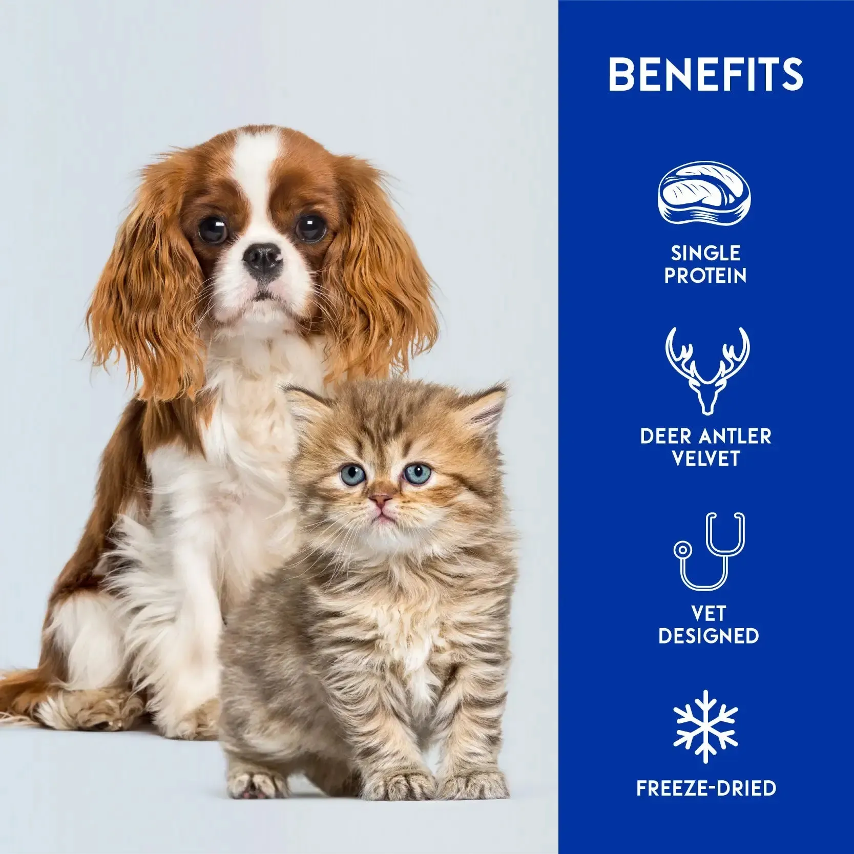 Animalkind Freeze-Dried Raw Cat Treats - Venison & Deer Antler Velvet 50g