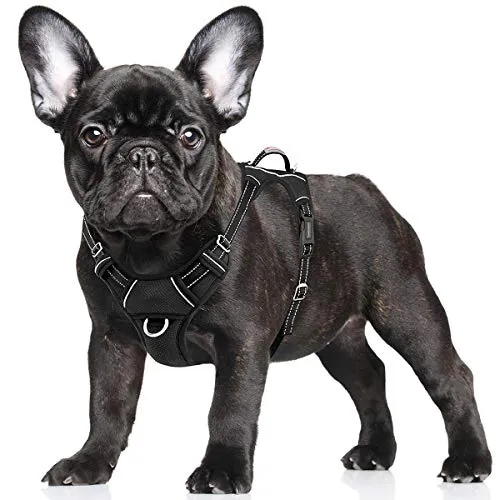 BARKBAY No Pull Dog Harness Large Step in Reflective Dog Harness with Front Clip and Easy Control Handle for Walking Training Running with ID tag Pocket(Violet Purple,M)