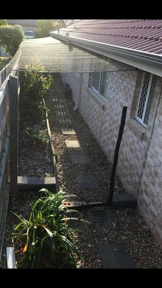 Cat Netting 32' x 17' Stone