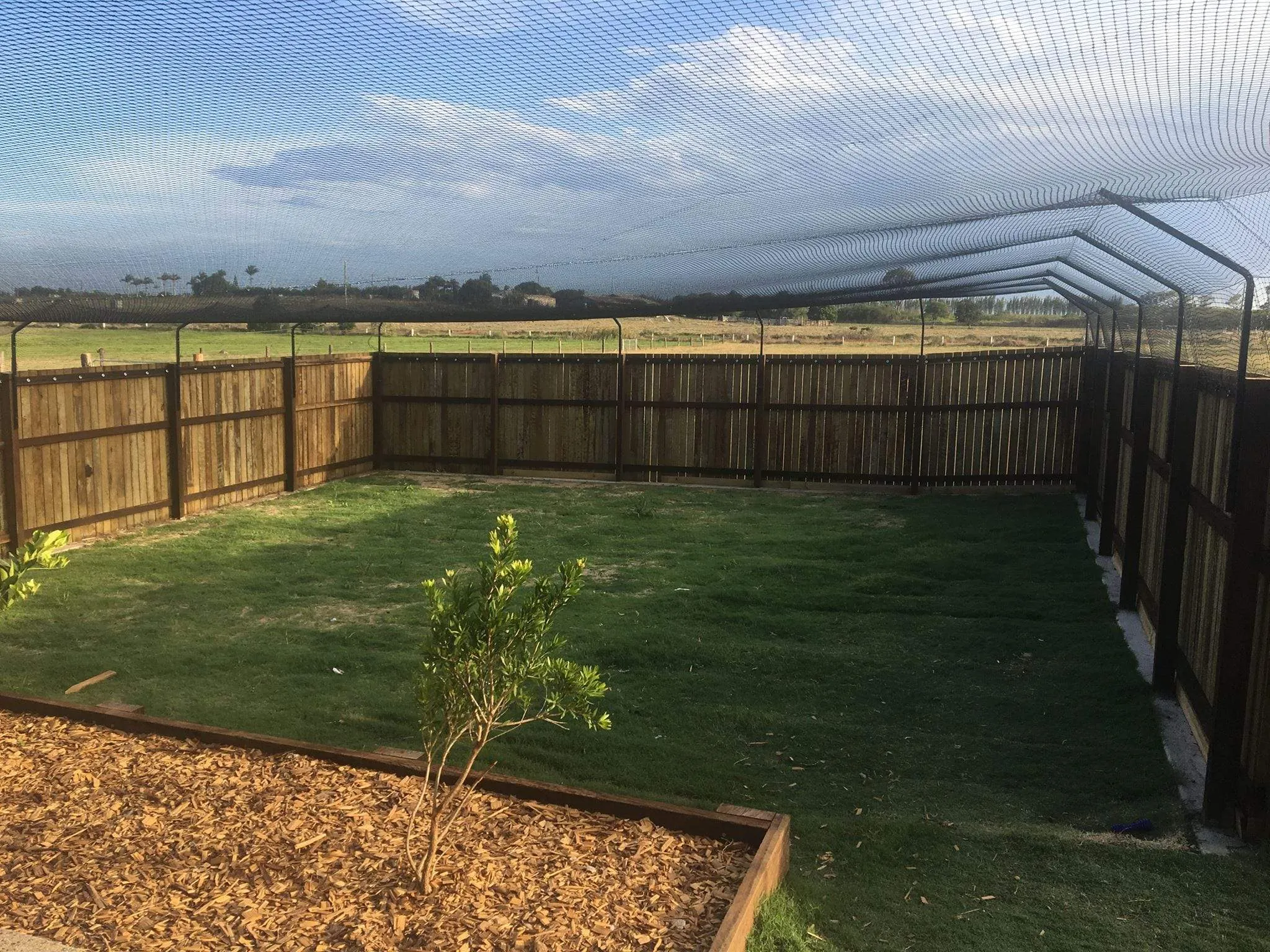 Cat Netting 32' x 17' Stone