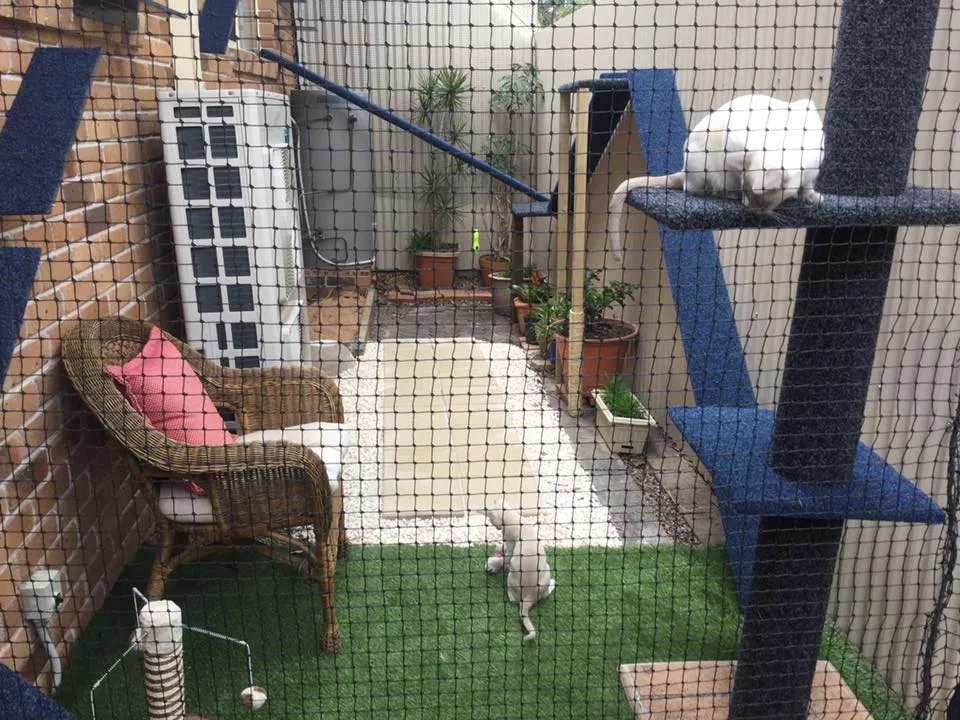 Cat Netting 32' x 17' Stone