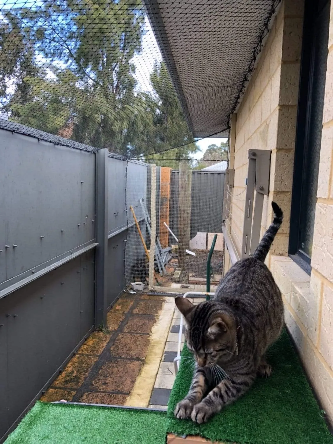 Cat Netting 32' x 17' Stone
