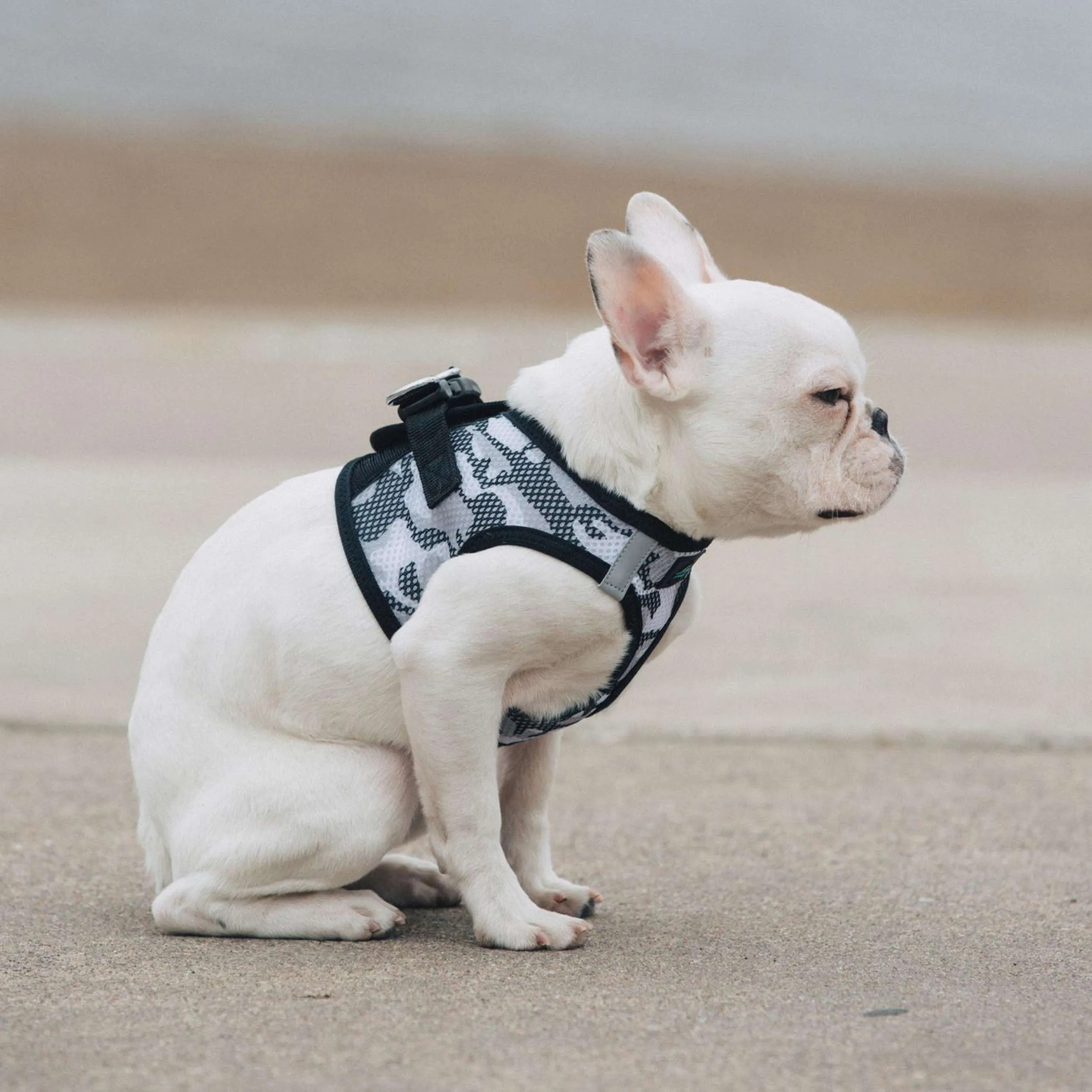 Choke-Free Mesh Harness | Gray Camo
