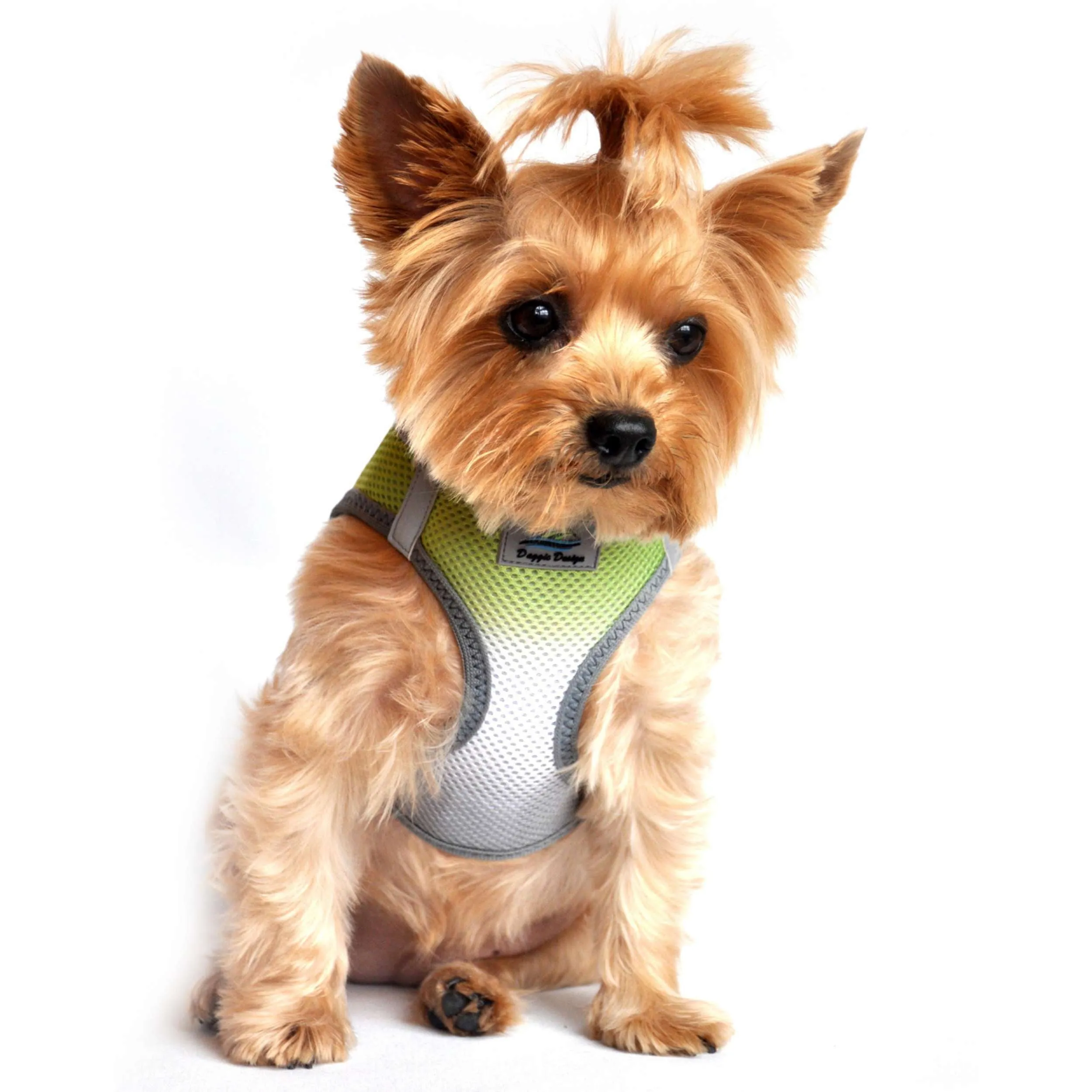 Choke-Free Mesh Harness | Ombre Limestone Gray
