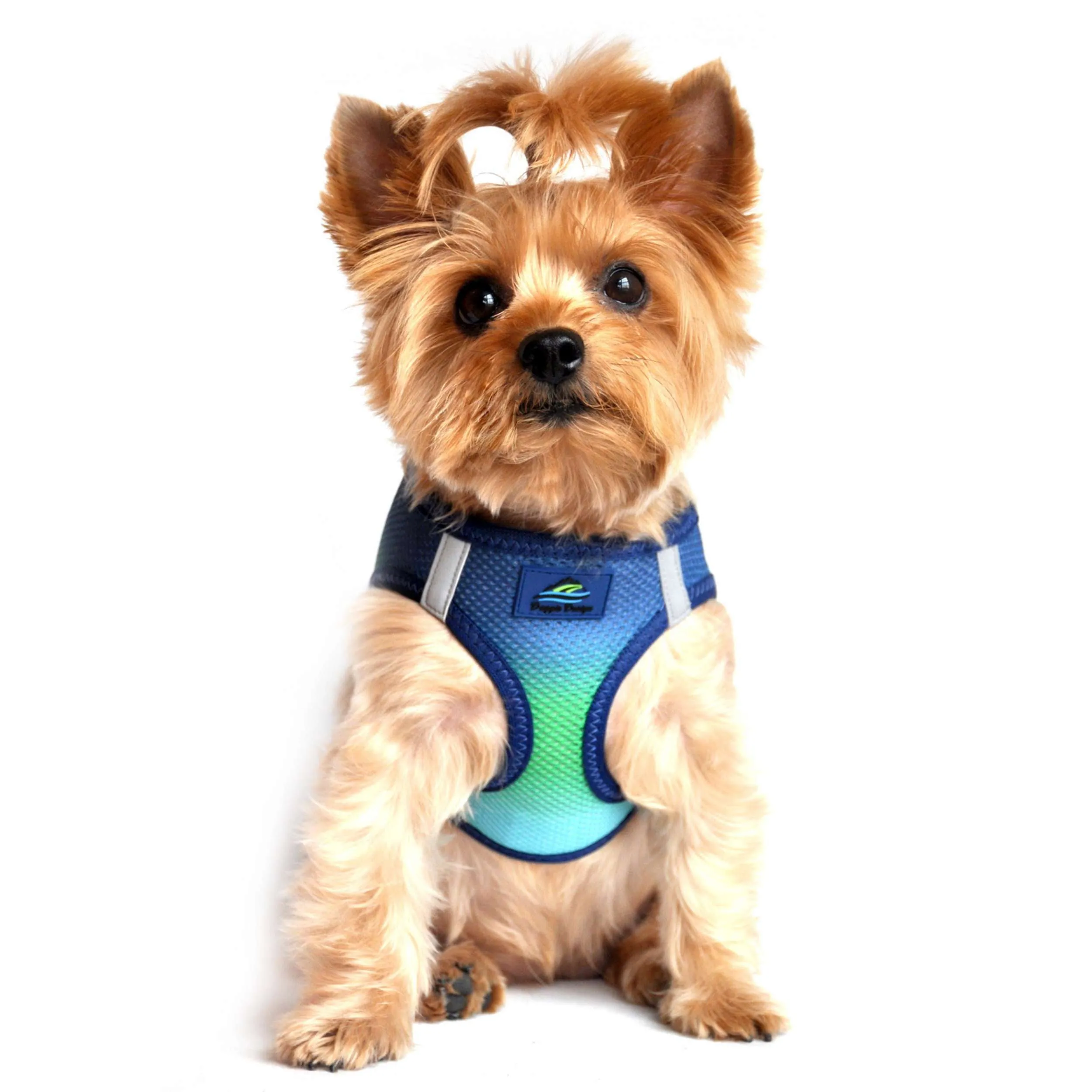 Choke-Free Mesh Harness | Ombre Northern Lights