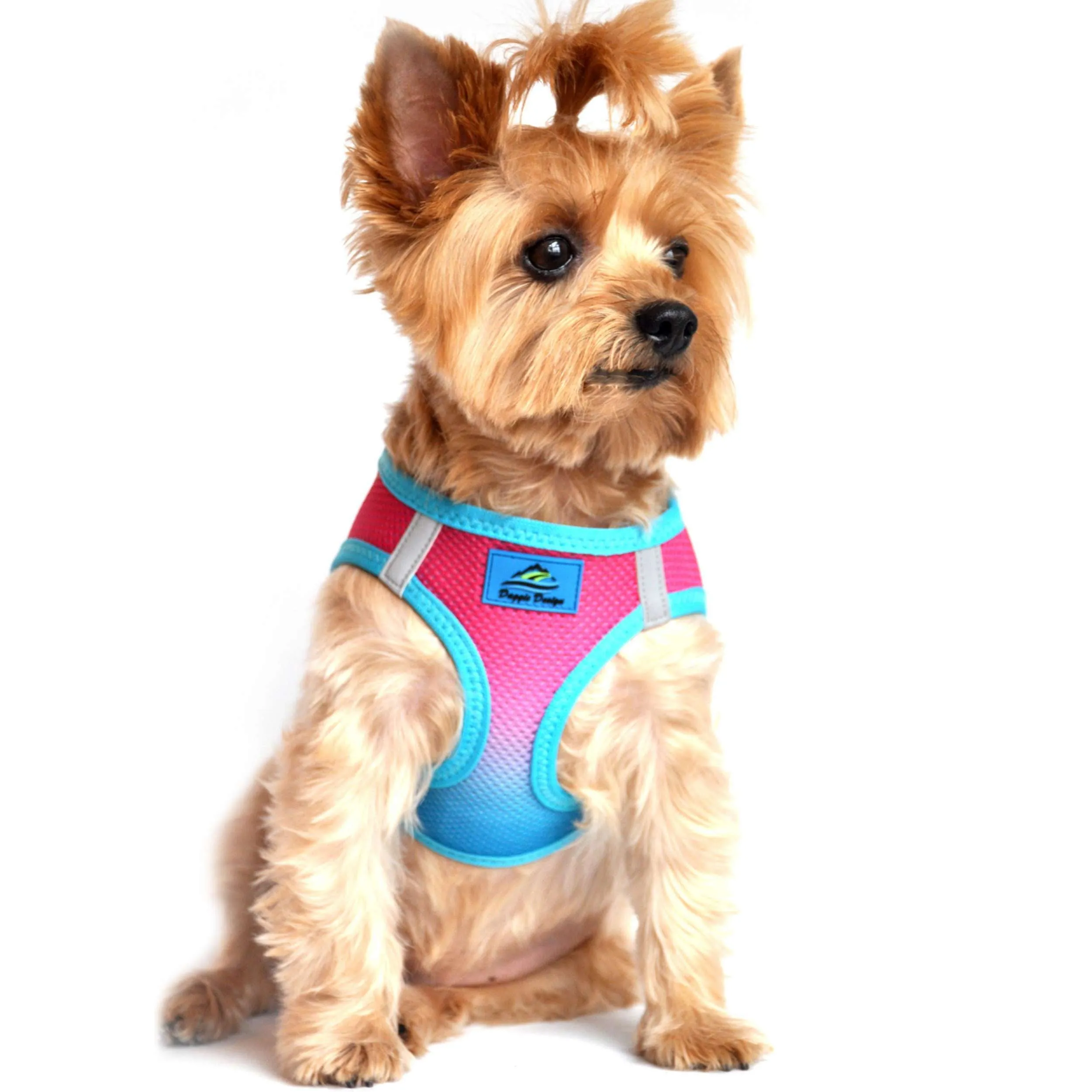 Choke-Free Mesh Harness | Ombre Sugar Plum