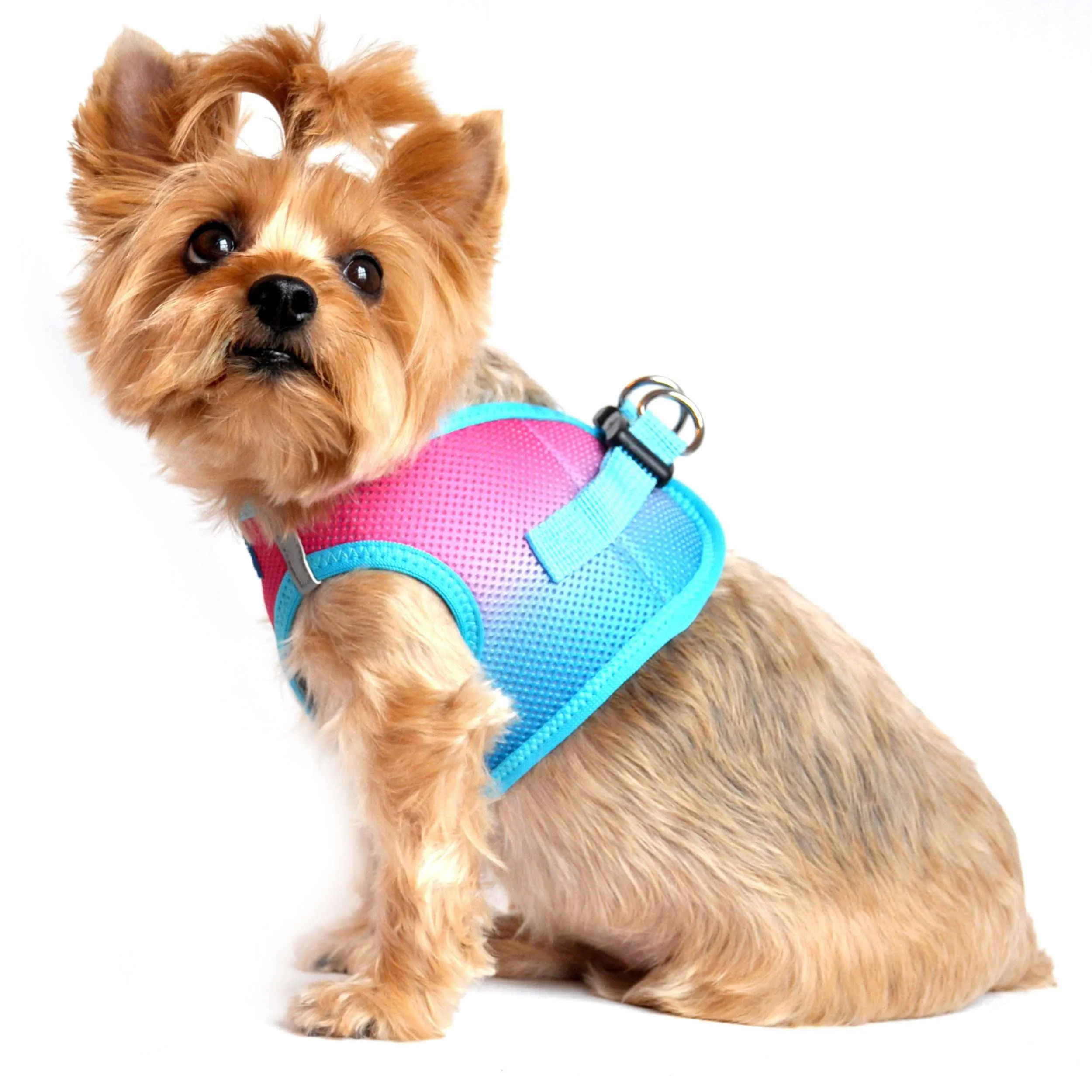 Choke-Free Mesh Harness | Ombre Sugar Plum