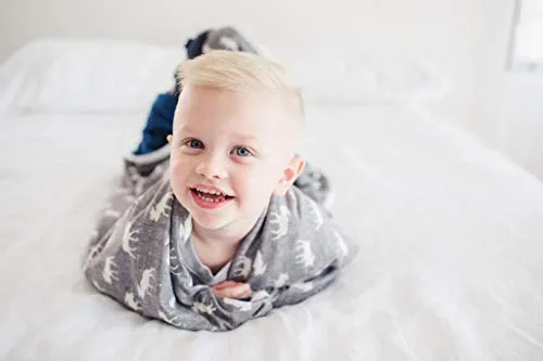 Copper Pearl Large Premium Knit Baby 3 Layer Stretchy Quilt Blanket for Boys"Scout", 10.6 Ounces