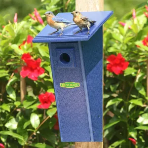 Duncraft Bird-Safe® Peterson Bluebird House, Blue