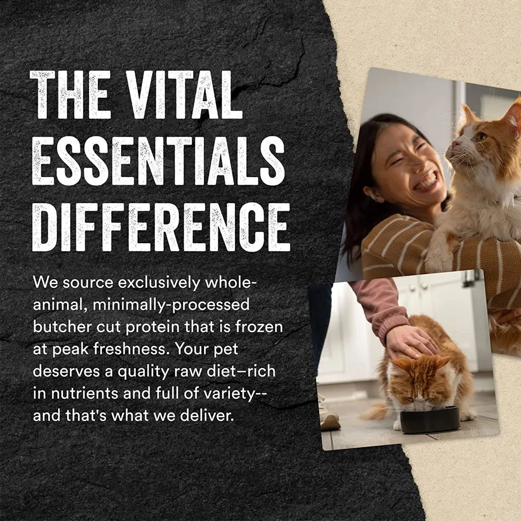 Freeze-dried Chicken Giblets Treat for Cats 1oz