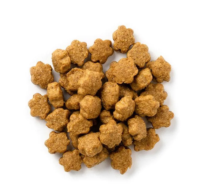 Fruitables Salmon & Cranberry Cat Treats