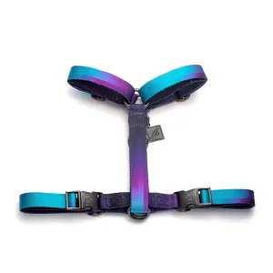 H Slim - Educative Harness | Northern Lights - Midnight