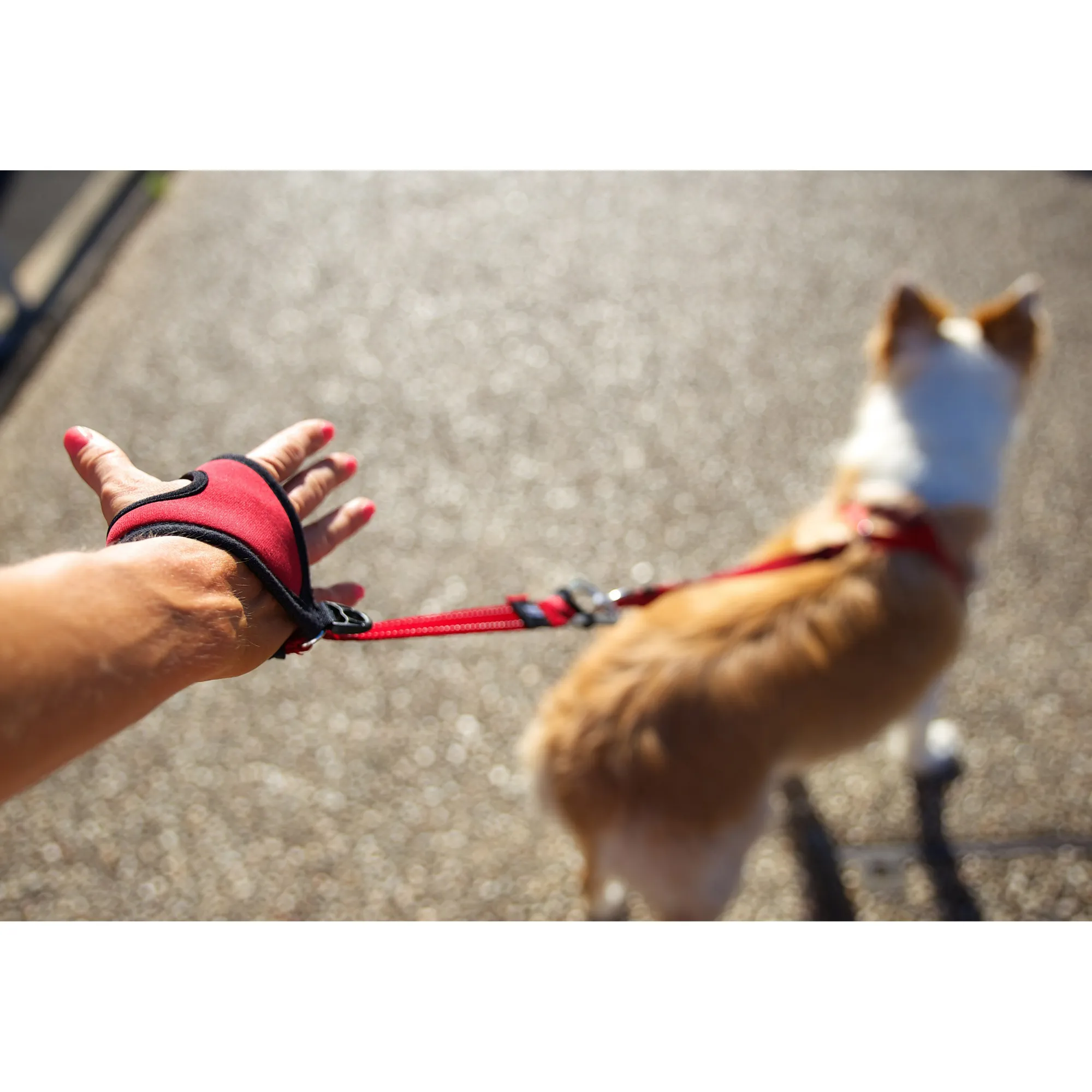 Handy Leash