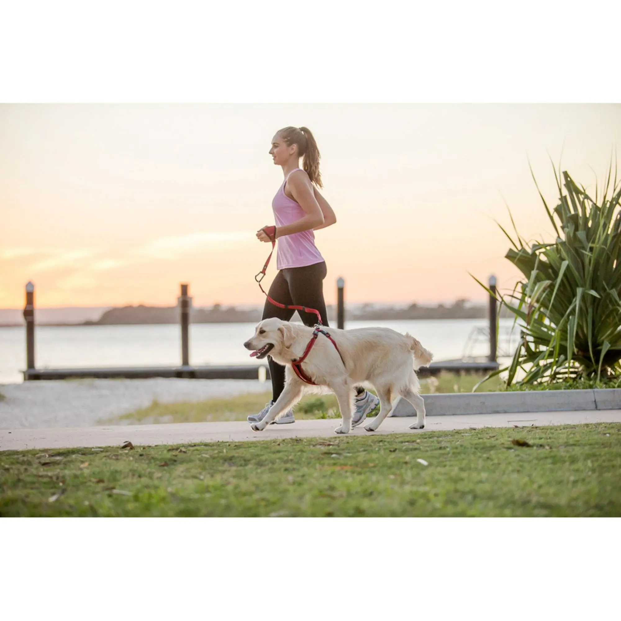 Handy Leash