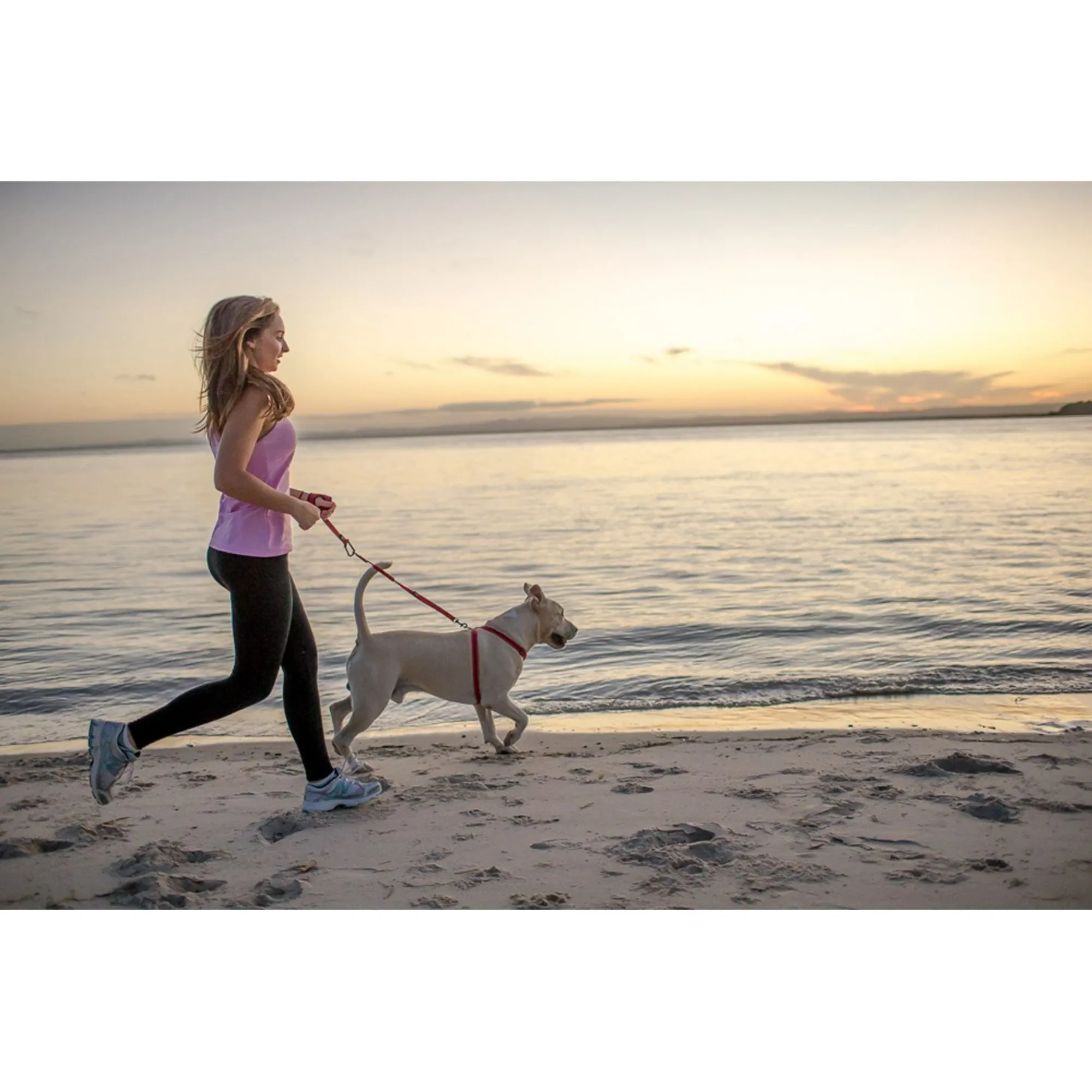 Handy Leash