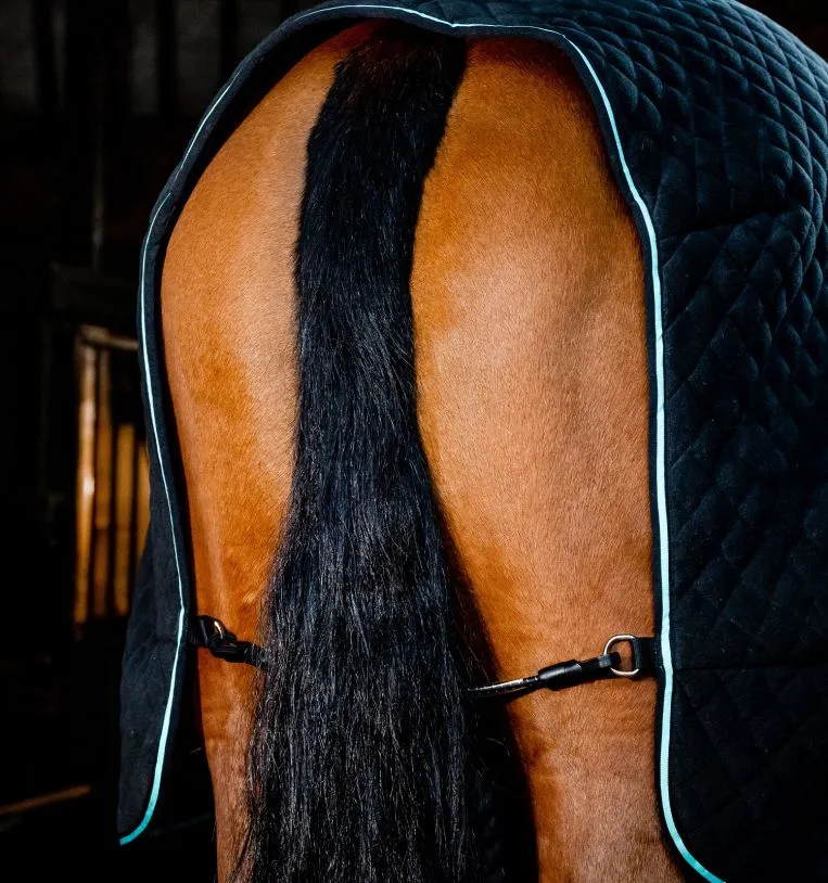 Horseware Autumn Cooler