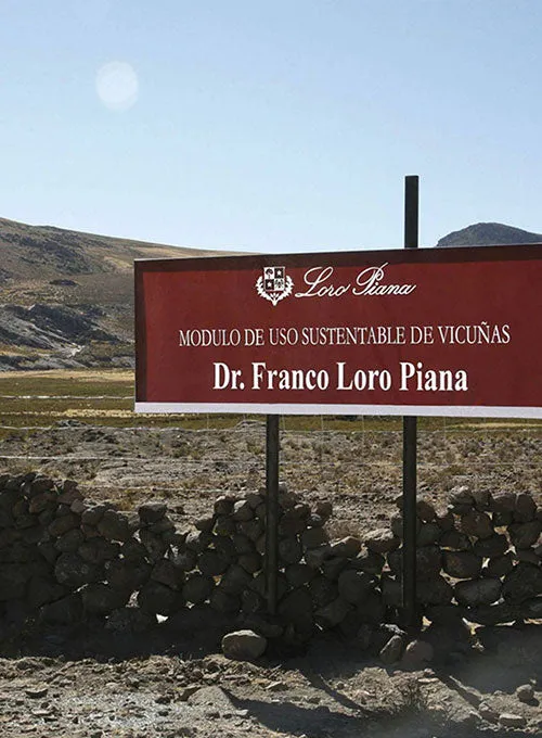 Loro Piana Nieca Wool Pants