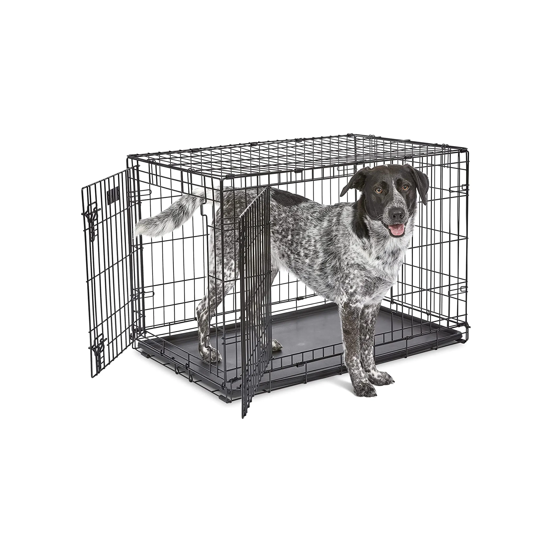MidWest Homes for Pets Newly Enhanced Double Door 36 Inch with Divider iCrate Dog Crate, Includes Leak-Proof Pan