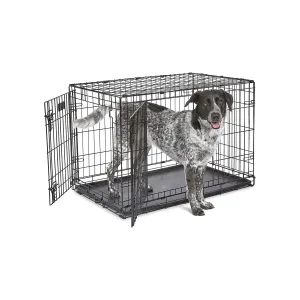 MidWest Homes for Pets Newly Enhanced Double Door 36 Inch with Divider iCrate Dog Crate, Includes Leak-Proof Pan