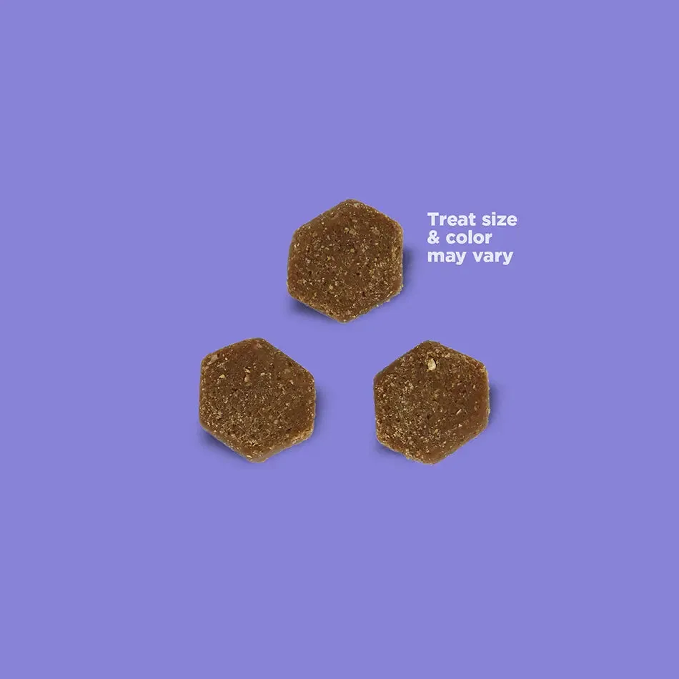 NutriSource Little Bites Grain Free Training Dog Treats 6 oz
