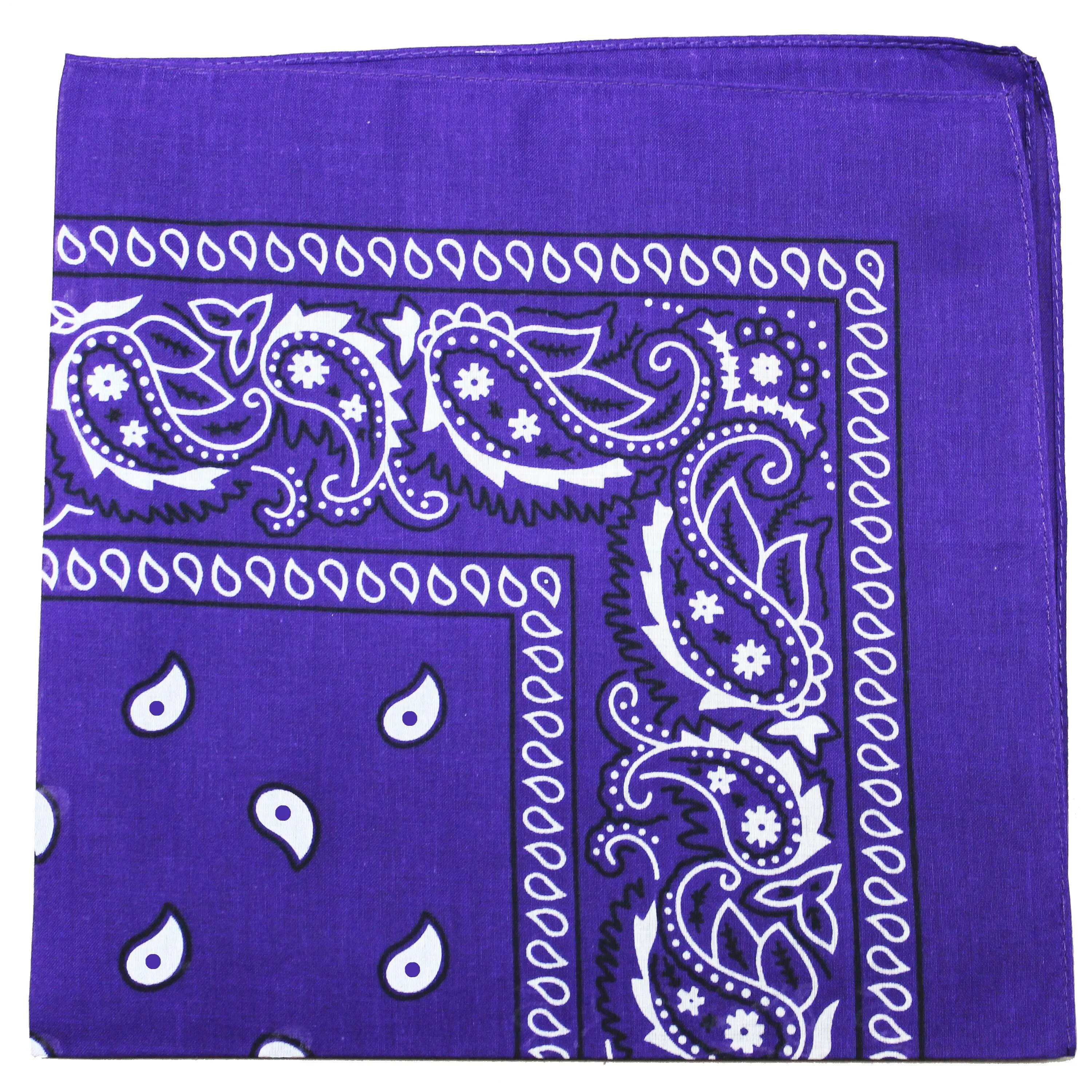 Pack of 48 Paisley Cotton Bandanas Novelty Headwraps - Bulk Wholesale - 22 inches