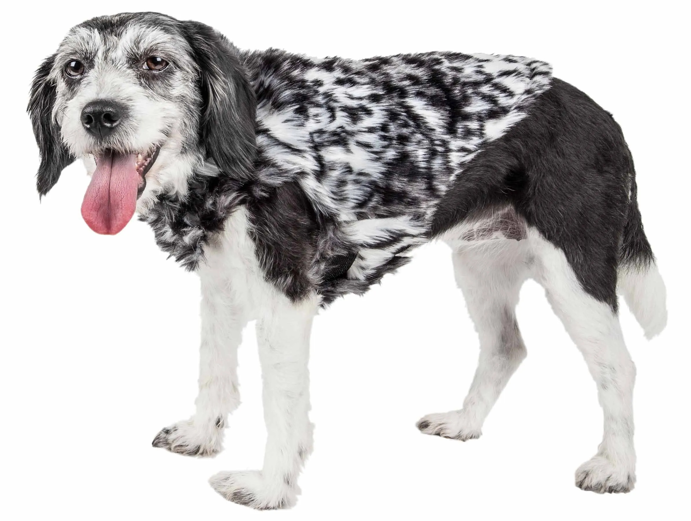 Pet Life ® Luxe 'Paw Dropping' Designer Gray-Scale Tiger Pattern Mink Fur Dog Coat Jacket