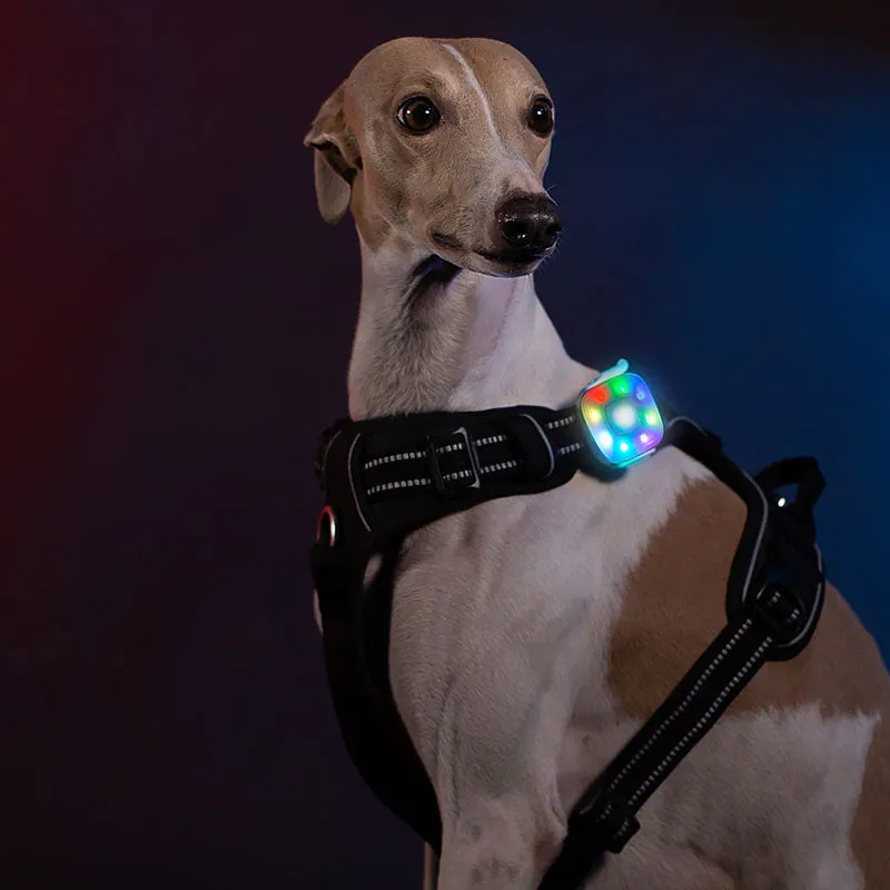 Rechargeable LED for Dog Collars & Harnesses Waterproof