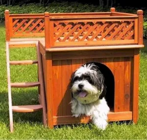Room with a View Dog House