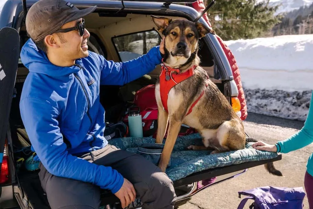 Ruffwear Basecamp Dog Bed
