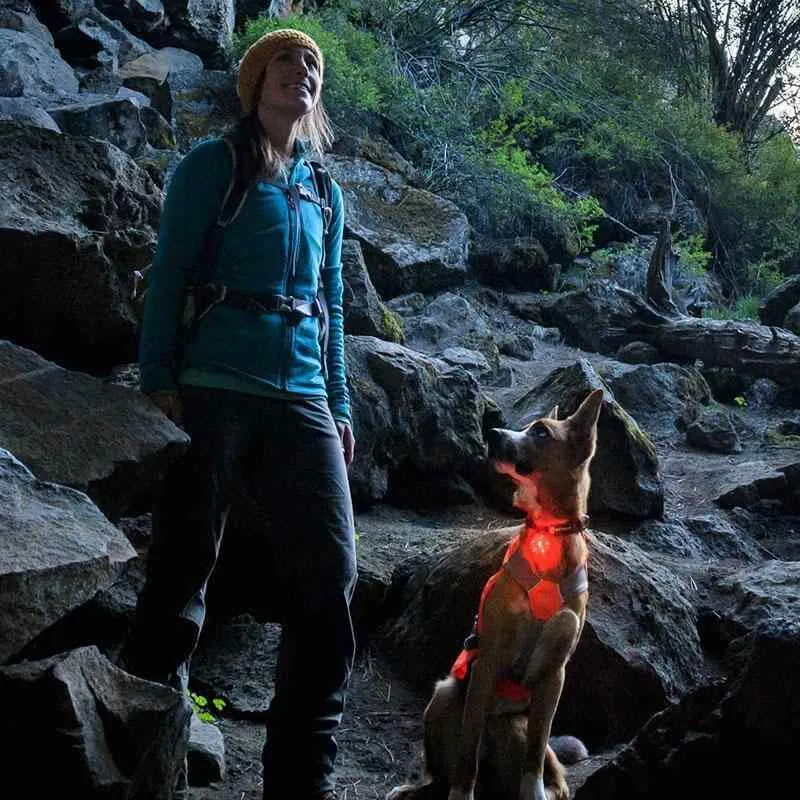Ruffwear Beacon Safety Light for Dogs