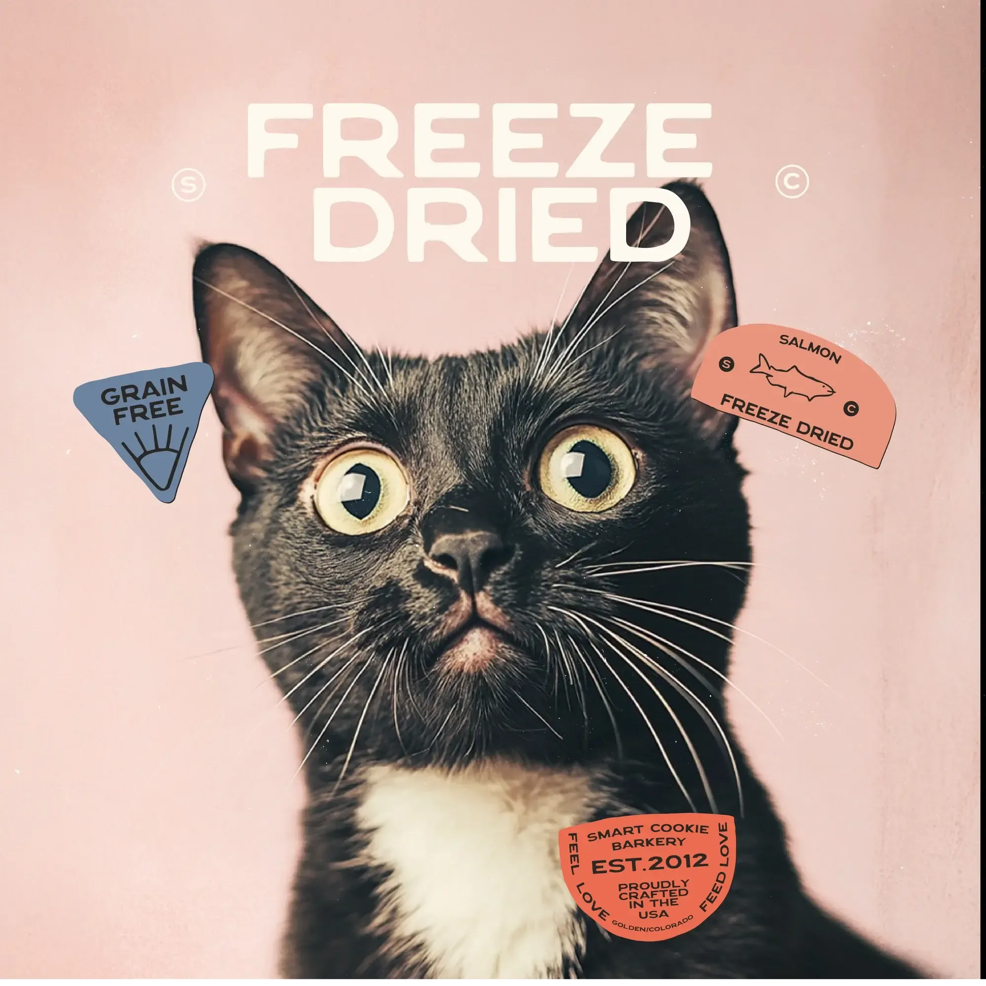 Smart Cookie Freeze-Dried Alaskan Salmon Cat Snacks