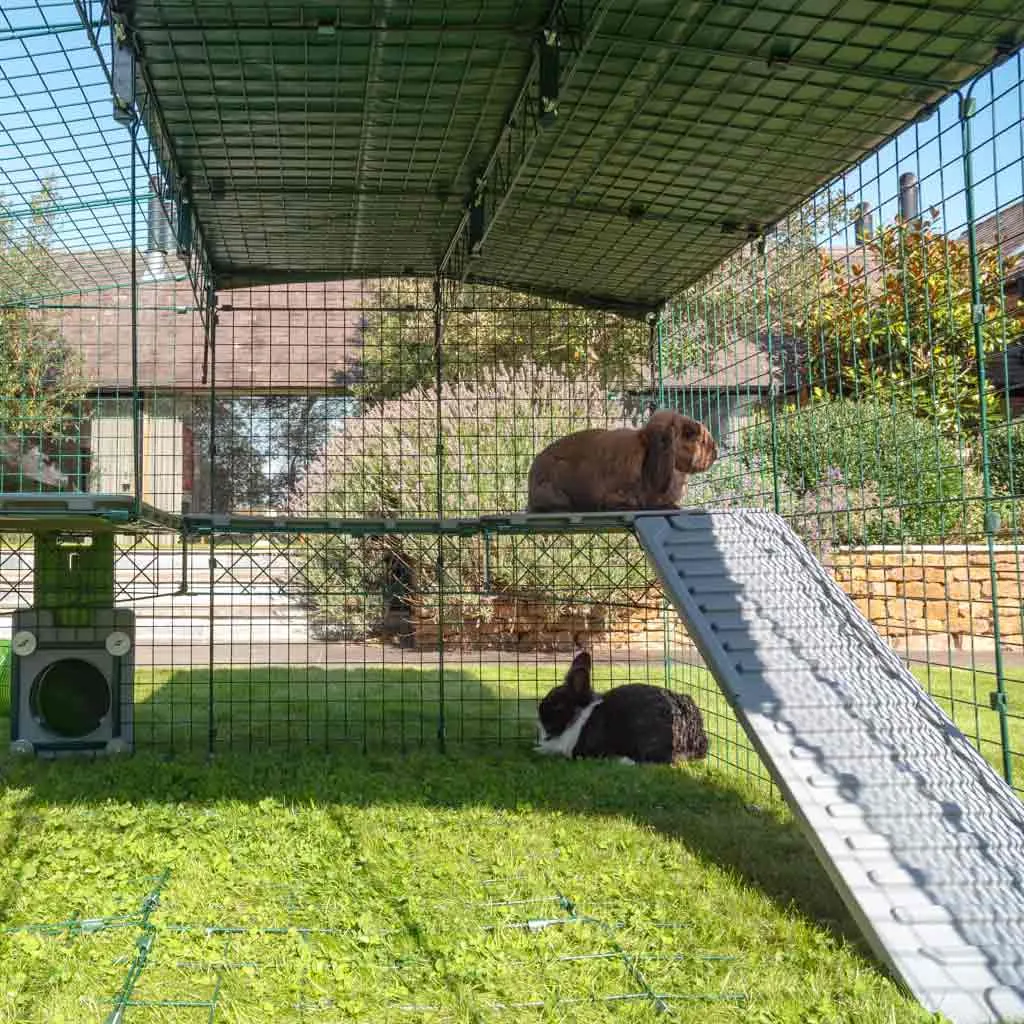 Zippi Runs & Playpens | Rabbits & Guinea Pigs